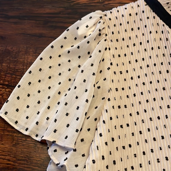 Max Studio Chiffon Polka Dot Short Sleeve Blouse size XL - Picture 6 of 12